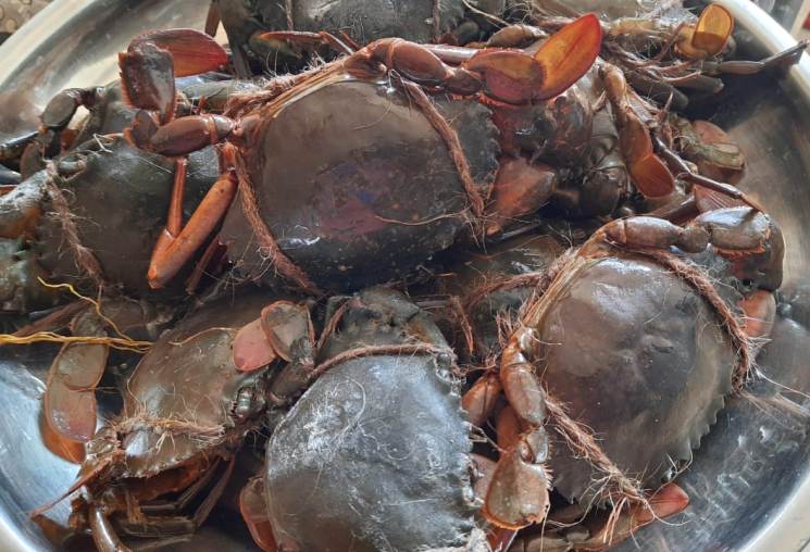 Crab Curry with Raw Mangoes