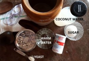How to Make Toddy from Coconut Water